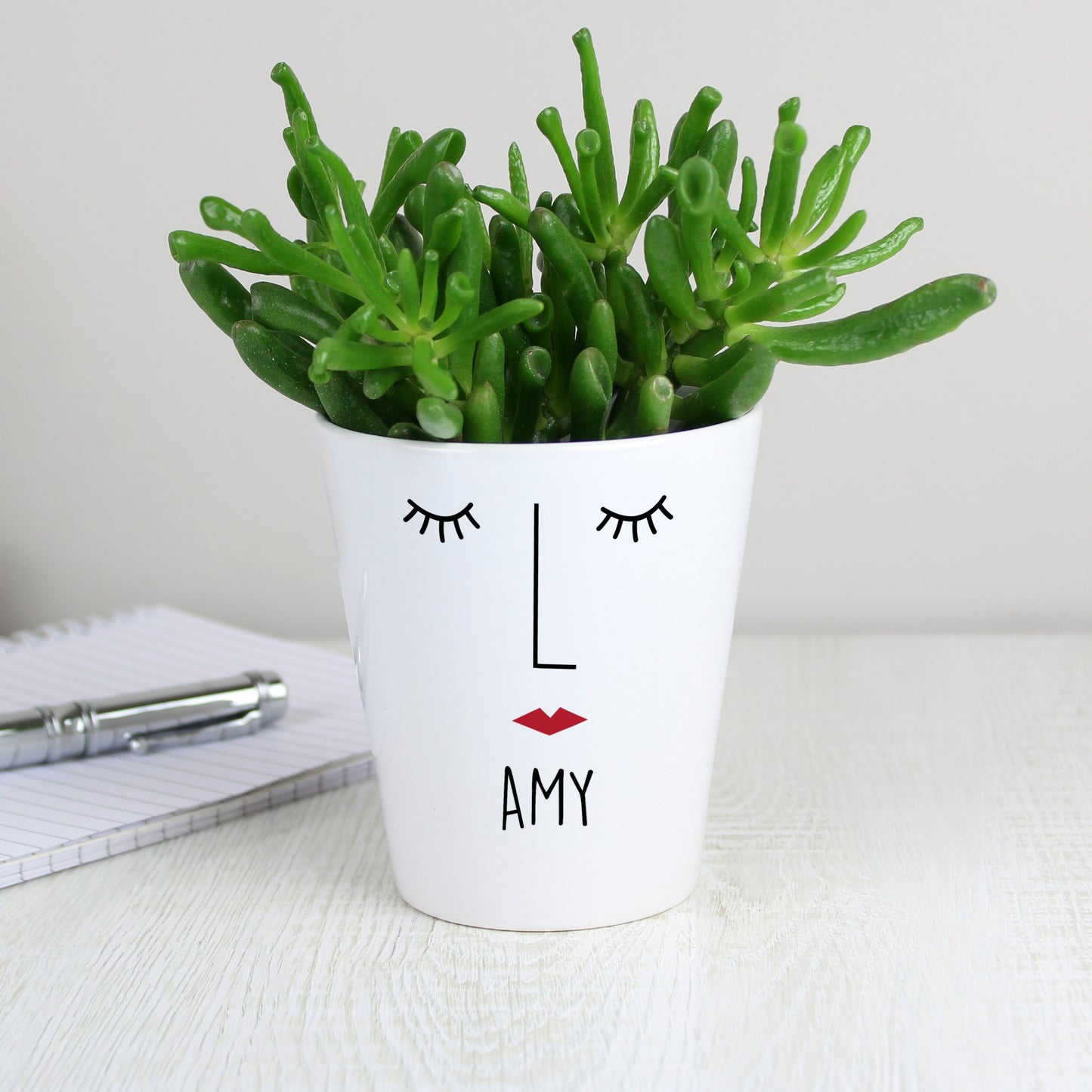 Personalised 'Mrs Face' Plant Pot